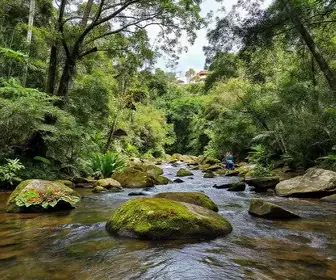 Circuito das Águas na Serra: Descubra a Beleza das Fontes e Rios da Região
