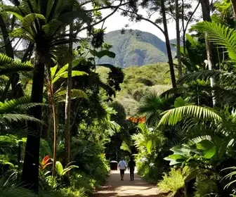 Desbravando as Trilhas Ecológicas da Serra – ES Desbravando as Trilhas Ecológicas da Serra - ES