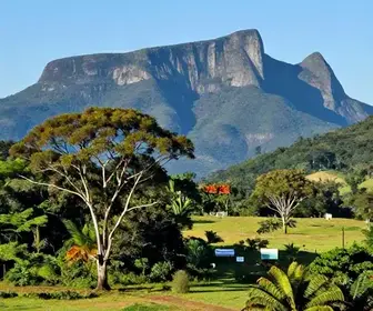 Descubra as Melhores Locais para Observação de Aves na Serra