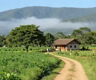 Descubra o Circuito Pitanga: Atrações e Belezas do Turismo Rural em Serra - ES