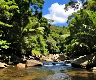Descubra o Encanto do Rio Jacaraípe em Serra - ES