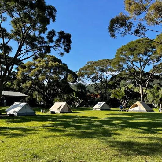 Explorando o Camping do Siri: Uma Experiência ao Ar Livre