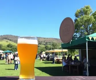 Festival de Cerveja Artesanal