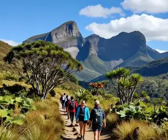 Passeios Imperdíveis na Grande Vitória: Descubra a Serra-ES